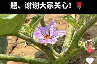 灾难！特雷-杨打满首节3投0中 仅得1分2助出现5失误&正负值-18